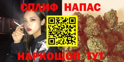 apvp Бердск
