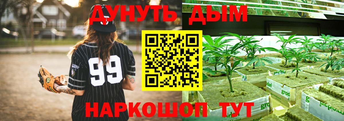 Бошки Шишки сатива  Вход с VPN  Марихуана сатива  МАРИХУАНА Amnesia  Верхний Уфалей 